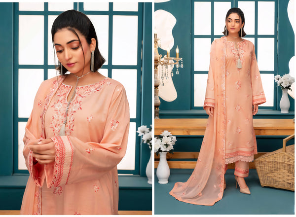 Premium Embroidered Chiffon 3 Pcs By Haya D-2